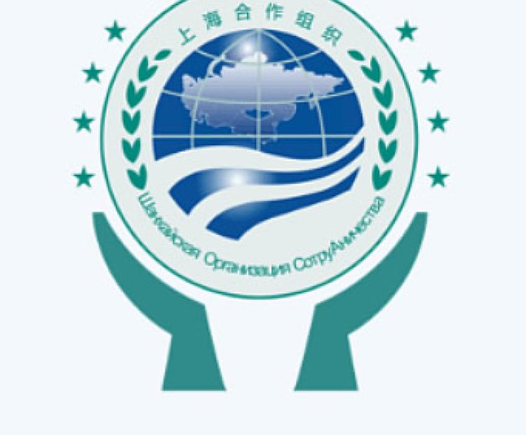 青島華睿源科技有限公司 門戶網站軟件開發